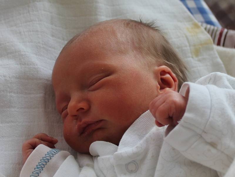 Sofie Přibylová se narodila 20. ledna Nikole Přibylové z Člunku.  Měřila 45 centimetrů a vážila 2640 gramů. 