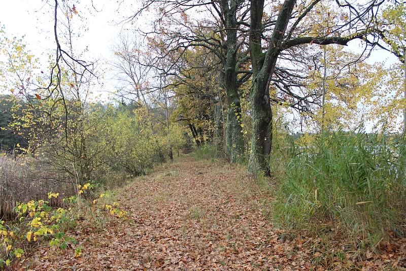 Romantickou krajinu tvoří Nadějská  rybniční soustava u obce Klec na Lomnicku.