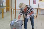 Největší zájem o volby do krajského zastupitelstva a senátu zaznamenala zatím volební komise v Kardašově Řečici, od 14 hodin se nestačili ani nadechnout. Po každém voliči přichází na řadu dezinfekce.