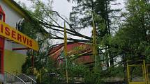 Strom u firmy Staviservis v Jindřichově Hradci, který nevydržel při prvomájové bouřce, strhl elektrické vedení a zasáhli bránu a střechu budovy.