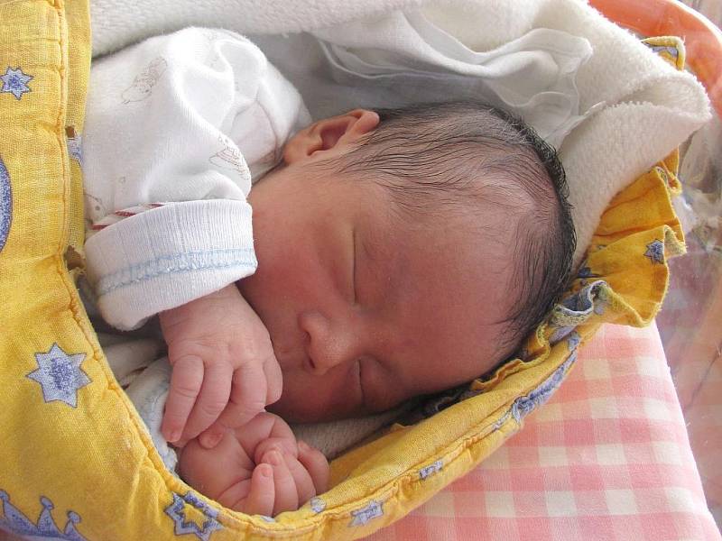 Nguyen Duc Viet z Jindřichova Hradce se narodil 10. března 2011 matce Dao Thi Nga a otci Nguyen Duc Hac. Měřil  52 centimetrů a vážil  3 400 gramů.