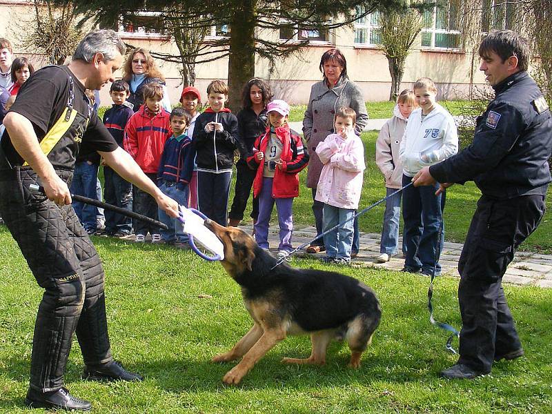 Policejní psovodi při ukázkách. 