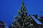 9. Vánoční strom ve Starém Městě pod Landštejnem.
