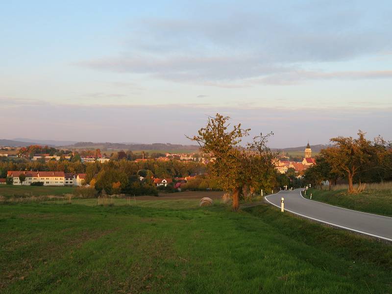 Sakury na náměstí a břízy v městském parku ve Slavonicích.