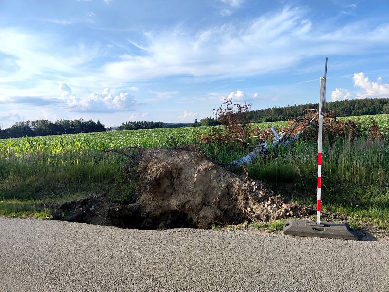 Silná bouřka na Jindřichohradecku tento týden lámala a vyvracela stromy. U Pluhova Žďáru vývraty poškodily i silnici. Popadané stromy a větve jsou i na trase na Červenou Lhotu.