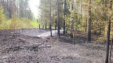 Požár v lese u Nového Vojířova na Novobystřicku, kde ve větru spadl strom do elektrického vedení.