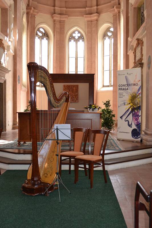 Závěrečný koncert festivalu se uskuteční v pátek od 19 hodin na zámku v Jindřichově Hradci.