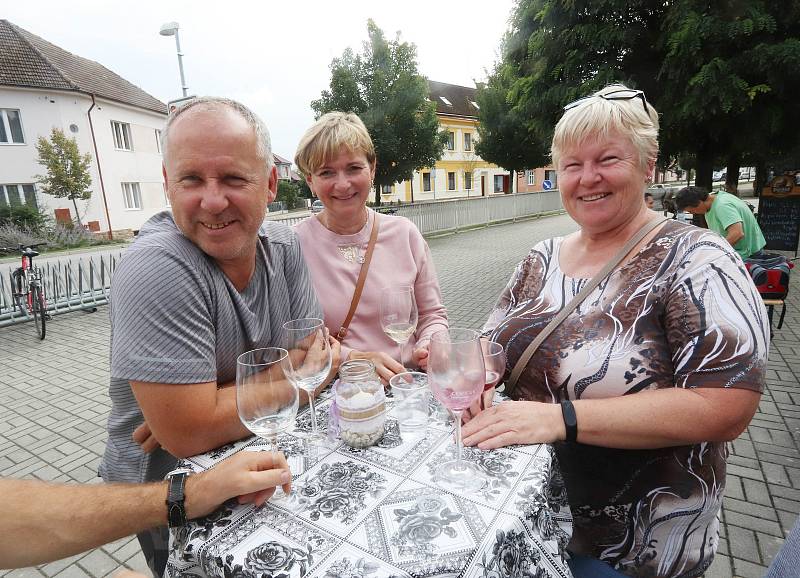 Burčák fest v Suchdole nad Lužnicí.