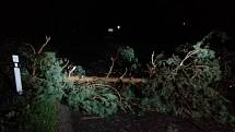 Následky bouřky na jihu Čech v noci z pátku na sobotu budou lidé ještě nějaký čas odstraňovat. Padlý strom v Hatíně.