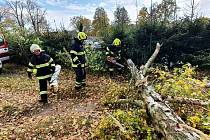 Dobrovolní hasiči z Jindřichova Hradce odstraňovali spadlý strom přes příjezdovou cestu v Horním Žďáru.