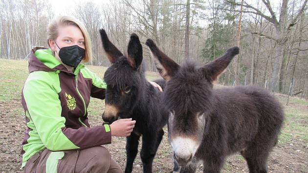 Velikonoce v Zoo Na Hrádečku.