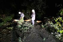 Dobrovolní hasiči z Kardašovy Řečice odstraňovali spadlé stromy na silnici a také převezli do Jin