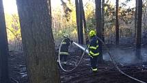 Požár lesa u Radíkova na Českorudolecku.