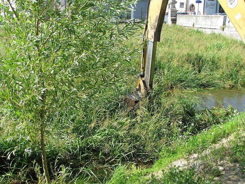 Odstraňování porostu rákosí u mostu přes Malý Vajgar v Jindřichově Hradci. 