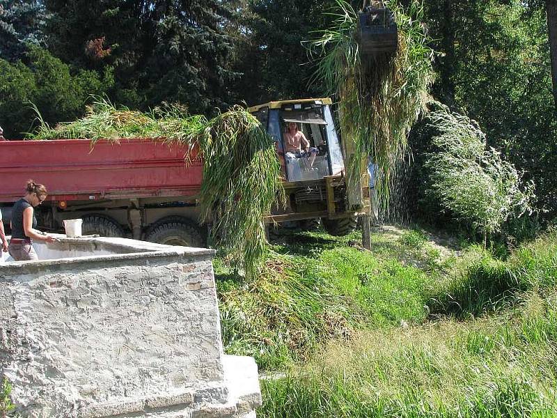 Odstraňování porostu rákosí u mostu přes Malý Vajgar v Jindřichově Hradci. 