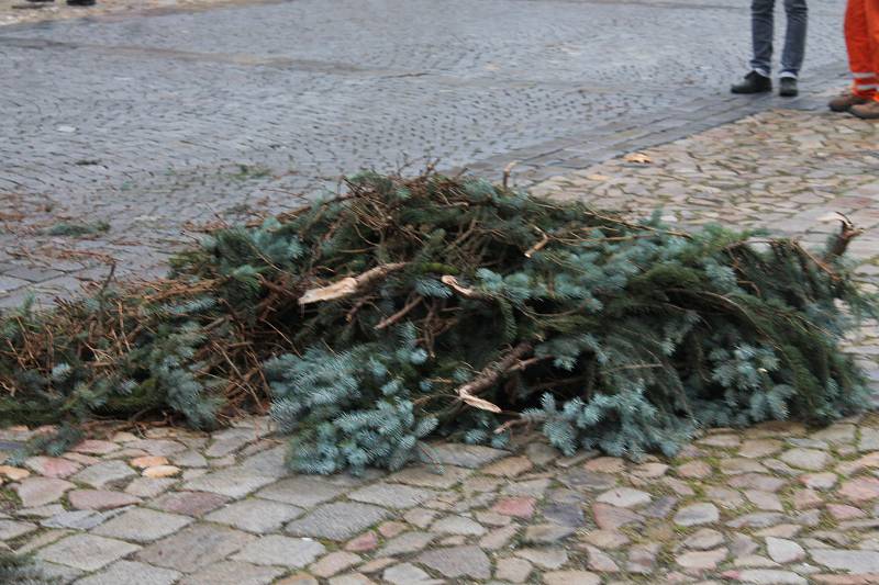 Na jindřichohradeckém náměstí Míru už stojí vánoční strom.