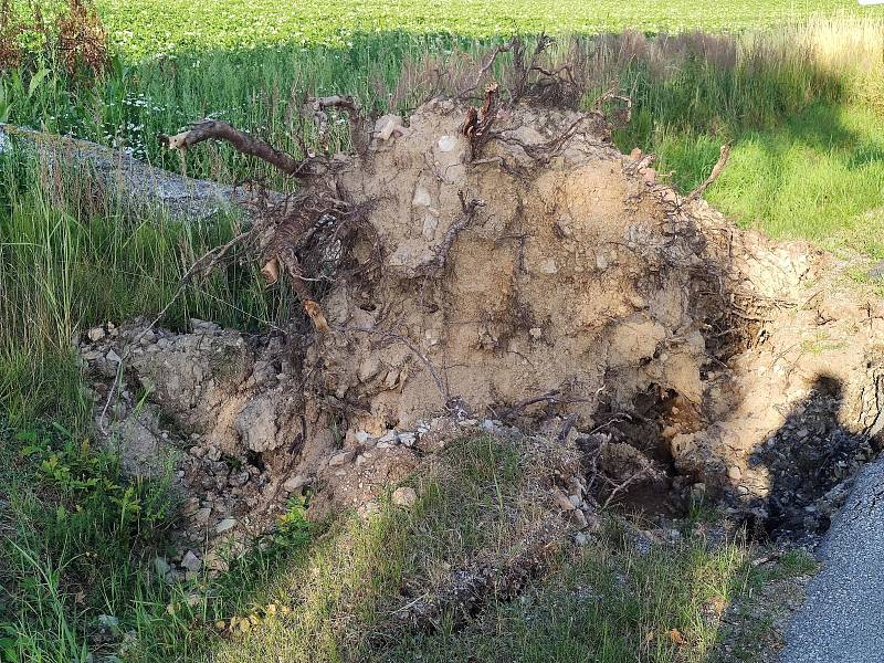 Silná bouřka na Jindřichohradecku tento týden lámala a vyvracela stromy. U Pluhova Žďáru vývraty poškodily i silnici. Popadané stromy a větve jsou i na trase na Červenou Lhotu.