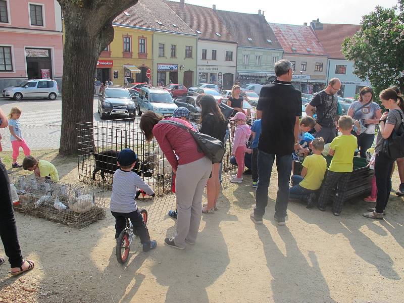 O uplynulém víkendu si v Dačicích užili Férovou snídani na podporu světového fair trade obchodu.