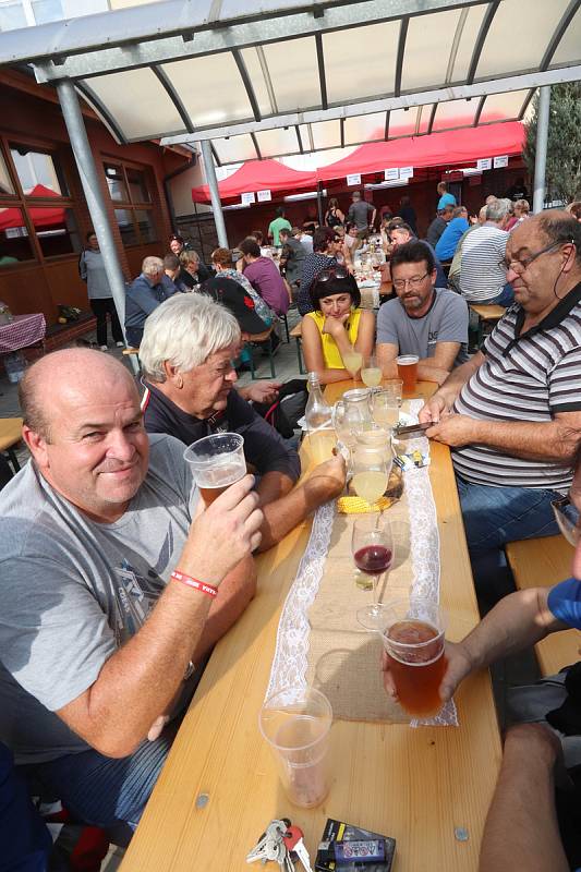 Burčák fest v Suchdole nad Lužnicí.