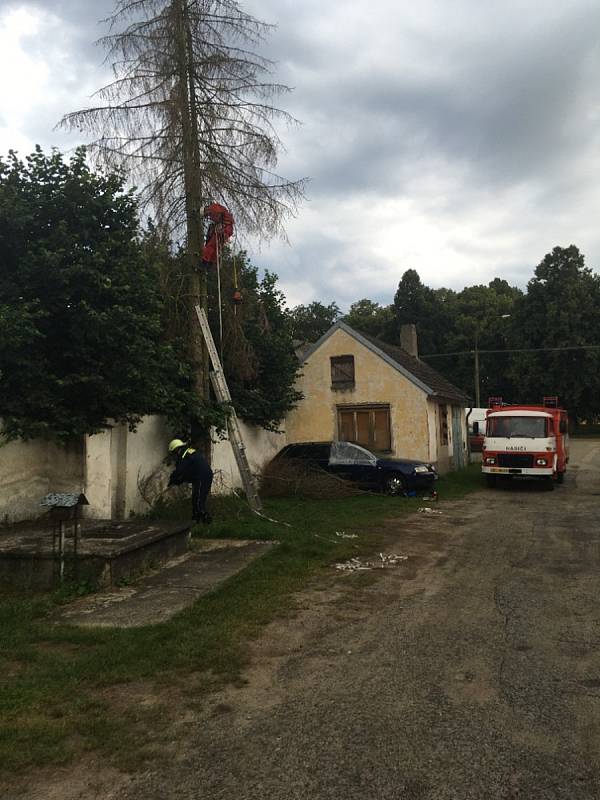 Dobrovolní hasiči z Novosedel nad Nežárkou vychovávají i mladé hasiče.