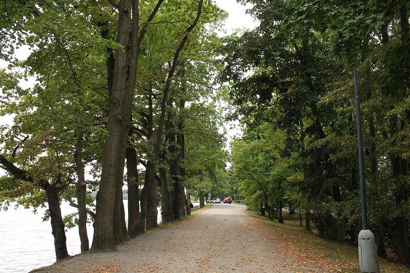 Cyklisté navlečení, lidé v bundách. Takový byl první podzimní den v Třeboni.