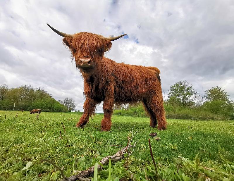 Zoo Na Hrádečku nyní překvapí nejen novými přírůstky.