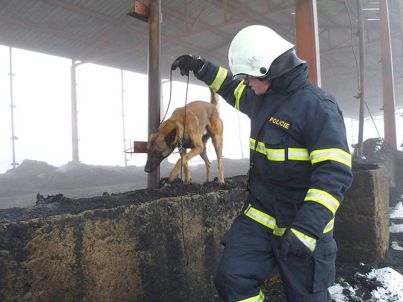 Vyšetřování ničivého požáru skladu sena v Klášteře na Novobystřicku, který způsobil škodu za devět milionů korun, pokračuje. Spáleniště již prohledával i policejní pes - specialista na vyhledávání akcelerantů hoření. Na snímku psovod Pavel Majer.