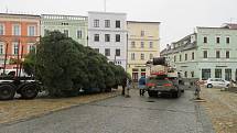 Dvanáctimetrová jedle ojíněná putovala v pondělí 22. listopadu z Mnichu u Kardašovy Řečice do centra Jindřichova Hradce. Ozdobí ji dvoukilometrový světelný řetěz.