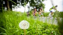 Mezinárodní tříetapový závod v silniční cyklistice RBB Tour zavedl peloton do malebných zákoutí území České Kanady, konkrétně do okolí Číměře, Popelína a Českého Rudolce. Foto: Jaroslav Svoboda/jsphoto.cz