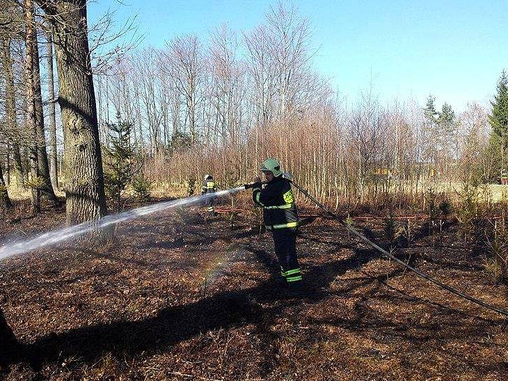 V úterý dobrovolní a profihasiči z Jindřichova Hradce zasahovali u požáru mladého lesa u Dolního Skrýchova.