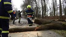 Dobrovolní hasiči z Lomnice nad Lužnicí opakovaně vyjížděli odstraňovat padlé stromy na silnici ve směru na Záblatí. 