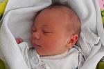 Eliška Lebedová se narodila 1. prosince ve 4 hodiny a 13 minut v českobudějovické porodnici. Vážila 3200 gramů a bydlet bude v Třeboni. 