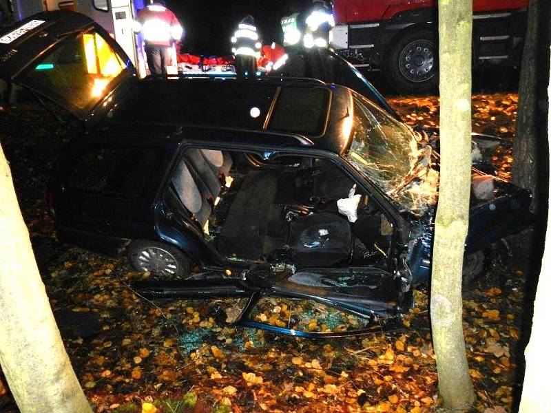 U Budíškovic narazilo auto do stromu. Ve voze zůstaly zaklíněné dvě osoby. 