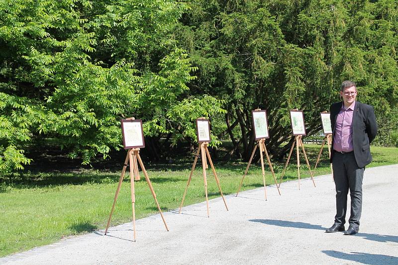 Zámecký park v Třeboni se 1. června opět otevřel veřejnosti.