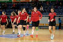 Prvoligové družstvo žen Házené Jindřichův Hradec je jedním z kolektivů, který se bude ucházet o úspěch v anketě Sportovec roku 2021 na Jindřichohradecku.