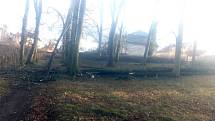 V důsledku silného větru spadl strom i v jindřichohradeckém parku.