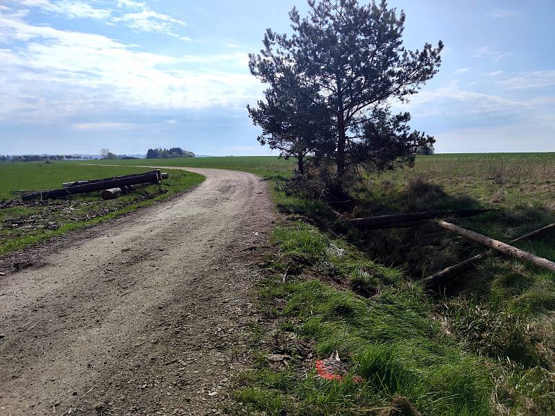 Pohled na místo tragické nehody na spojce z Jarošova na Dolní Radouň u Hánovského rybníka. V podvečer 3. května řidička s autem narazila do jedné z borovic, vůz se převrátil na střechu a žena zraněním podlehla.