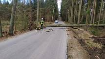 Výjezd hasičů z Chlumu u Třeboně k padlému stromu u Žíteče.