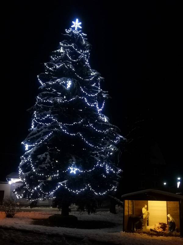 Vánoční strom v Písečném nad Dyjí.