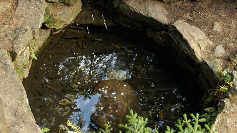 Šumava a její NEJ. Zkuste si test, jak dobře znáte náš nádherný národní park.