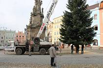 Vánoční jedle, dvanáct metrů vysoká, se na náměstí Míru usazovala v úterý dopoledne.