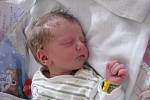 Ema Glaserová se narodila 11. července  ve 3 hodiny a 42 minut Lence a Vítovi Glaserovým ze Slavonic . Vážila 3270 gramů a měřila 52 centimetrů. 