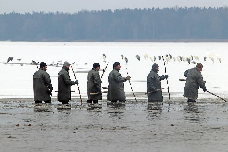 Výlov Opatovického rybníka v Třeboni