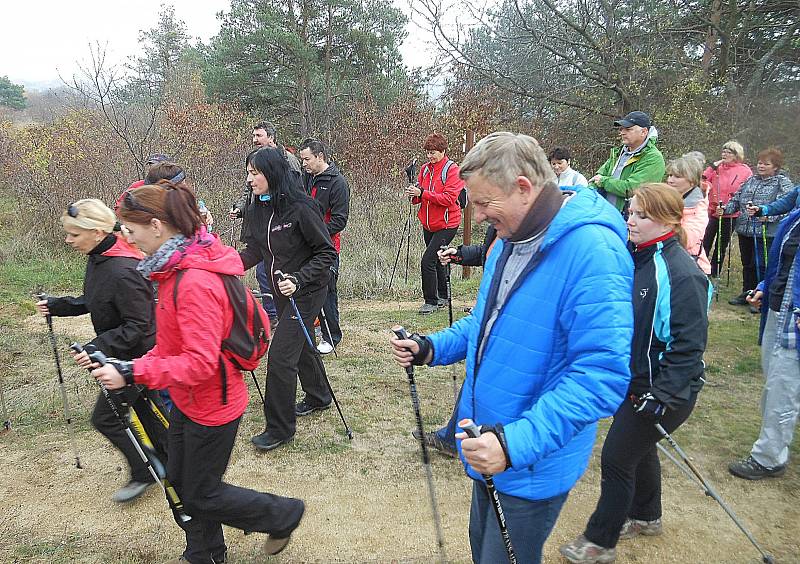 Běžkařské stopy v okolí Slavonic využívají při nedostatku sněhu alespoň vyznavači nordic walking.