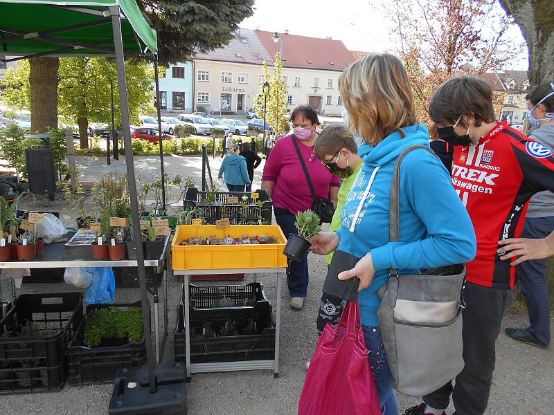 V Dačicích se v sobotu konal farmářský trh v rouškách.