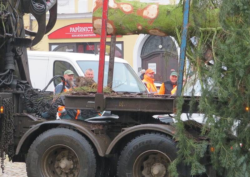 Dvanáctimetrová jedle ojíněná putovala v pondělí 22. listopadu z Mnichu u Kardašovy Řečice do centra Jindřichova Hradce. Ozdobí ji dvoukilometrový světelný řetěz.