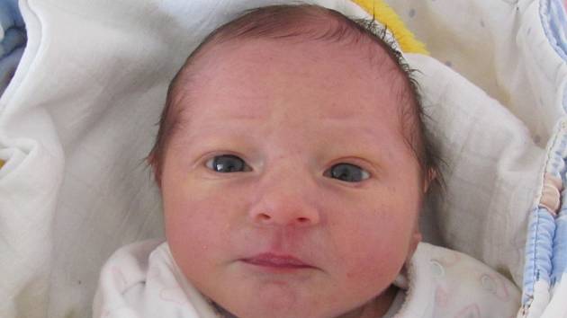 Nikola Jirsová  se narodila 25. června  Kateřině Jirsové z Počátek. Vážila 2650 gramů a měřila 47 centimetrů. 