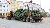 Jindřichův Hradec už má svůj vánoční strom.