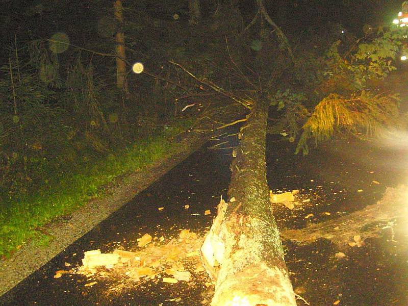 Na Jindřichohradecko se opět vrátila bouřka a padaly stromy. 