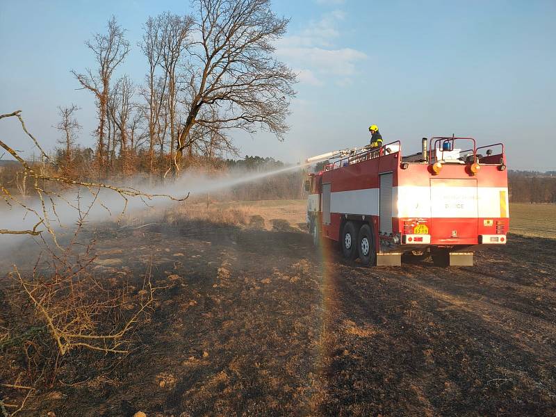 Požár lesa ve Velkém Pěčíně v sobotu 19. 3.